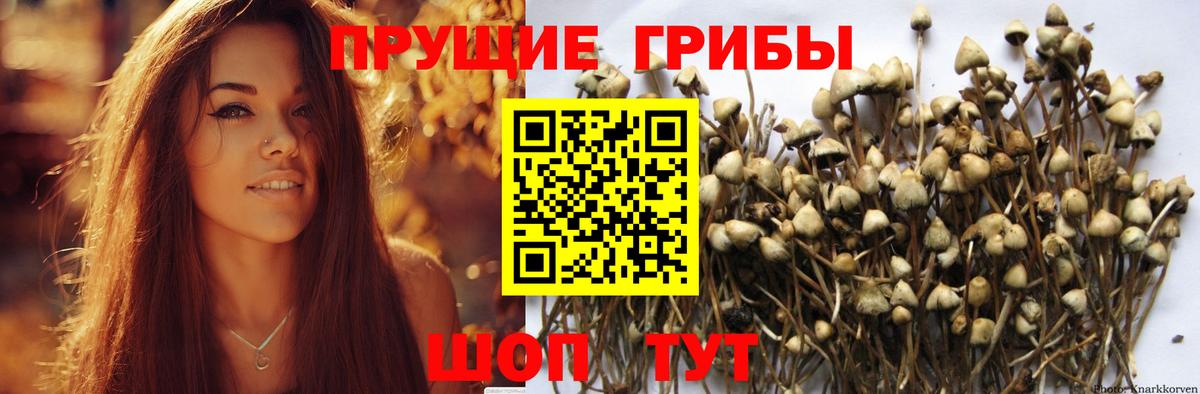 Галлюциногенные грибы ЛСД Арзамас
